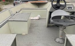 502471740 10228440847668768 7175840621769181973 N